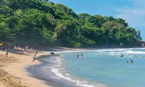 Menschen genießen den sonnigen **puerto viejo strand** mit üppiger Vegetation im Hintergrund und sanften Wellen.