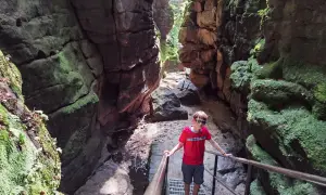 Junge steht auf Treppe im **Uttewalder Grund**, umgeben von moosbewachsenen Felsen.
