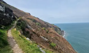 Steiler Küstenpfad mit Blick auf das Meer. Ein Pfad, der zu unvergesslichen south west coast path erfahrungen einlädt.