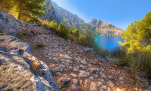 Pfad im Gebirge Mallorcas führt zu einer Bucht mit türkisfarbenem Wasser, umgeben von grünen Pinien und Felsen.