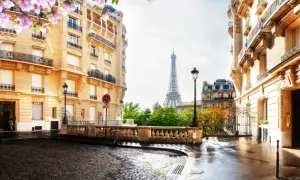 Blühende Magnolien über einer Kopfsteinpflasterstraße in Paris im Mai. Der Eiffelturm ragt im Hintergrund auf, umgeben von Haussmann-Gebäuden.