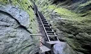 Steile Metalltreppe führt durch eine enge Felsspalte, Moos bedeckt die Wände. Eine leichte Schrammsteine Wanderung mit Ausblick.