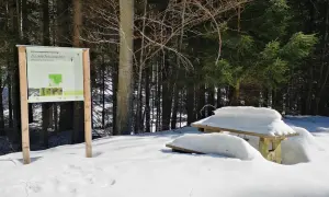 Winterliche Wanderung im Bayerischen Wald: Ein Geheimtipp im tiefen Schussbachtal. Ein Info-Schild und ein verschneiter Tisch laden zur Erkundung ein.