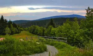 Ein Weg führt durch grüne Wiesen und Wälder, ideal zum Wandern in Norddeutschland. Im Hintergrund ein bewaldeter Berg mit einem Turm.