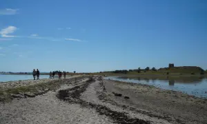 Menschen spazieren auf einem sandigen Weg entlang des Wassers in Richtung der Mols Bjerge mit einer alten Burgruine auf dem Hügel.