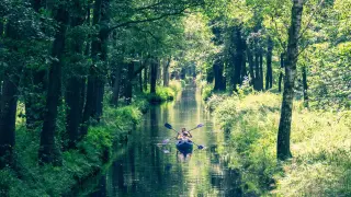 Zwei Personen paddeln in einem Kanu auf einem schmalen Fluss durch einen grünen Wald. Ein idyllisches Ziel für Ausflüge in Berlin.