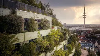 Grüner Wohnraum auf einem alten Bunker in Hamburg. Üppige Vegetation bedeckt die Terrassen, im Hintergrund ragt der Fernsehturm auf.