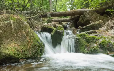 Ein kleiner Wasserfall im Harz, ideal für romantische Wandertouren. Moosbewachsene Felsen und ein umgestürzter Baum schaffen eine idyllische Szenerie.