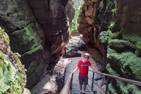 Junge steht auf Treppe im **Uttewalder Grund**, umgeben von moosbewachsenen Felsen.