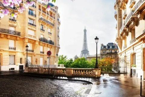 Blühende Magnolien über einer Kopfsteinpflasterstraße in Paris im Mai. Der Eiffelturm ragt im Hintergrund auf, umgeben von Haussmann-Gebäuden.