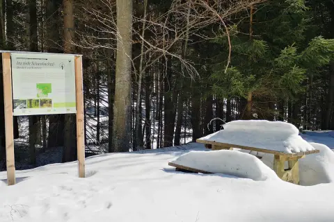 Winterliche Wanderung im Bayerischen Wald: Ein Geheimtipp im tiefen Schussbachtal. Ein Info-Schild und ein verschneiter Tisch laden zur Erkundung ein.