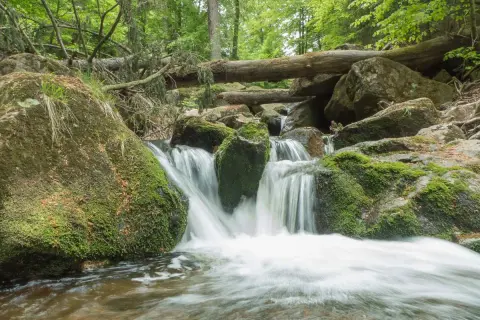 Ein kleiner Wasserfall im Harz, ideal für romantische Wandertouren. Moosbewachsene Felsen und ein umgestürzter Baum schaffen eine idyllische Szenerie.
