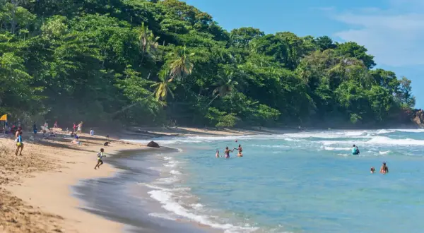Menschen genießen den sonnigen **puerto viejo strand** mit üppiger Vegetation im Hintergrund und sanften Wellen.