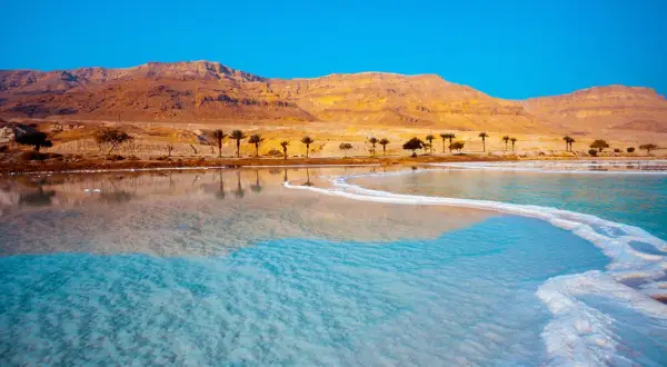 Das Tote Meer, wo die Berge auf das salzige Wasser treffen. Palmen säumen die Küste.