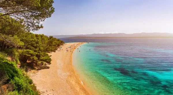 Traumhafter Strand auf einer kroatischen Insel mit Pinienwald und türkisfarbenem Wasser.