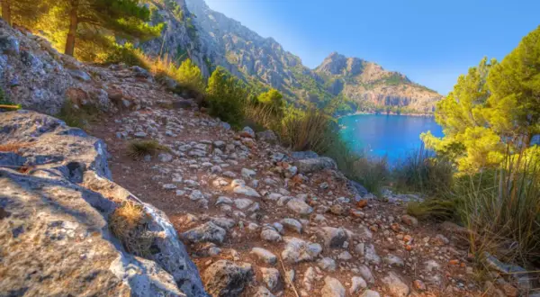Pfad im Gebirge Mallorcas führt zu einer Bucht mit türkisfarbenem Wasser, umgeben von grünen Pinien und Felsen.