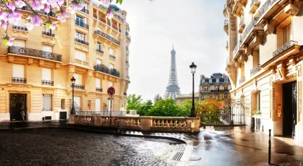 Blühende Magnolien über einer Kopfsteinpflasterstraße in Paris im Mai. Der Eiffelturm ragt im Hintergrund auf, umgeben von Haussmann-Gebäuden.