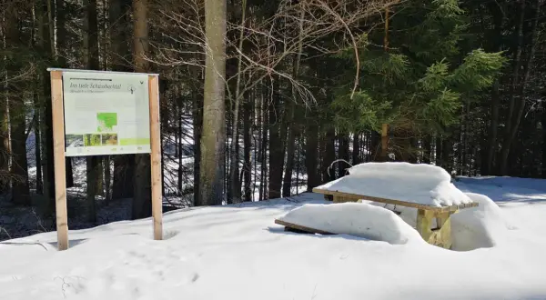 Winterliche Wanderung im Bayerischen Wald: Ein Geheimtipp im tiefen Schussbachtal. Ein Info-Schild und ein verschneiter Tisch laden zur Erkundung ein.