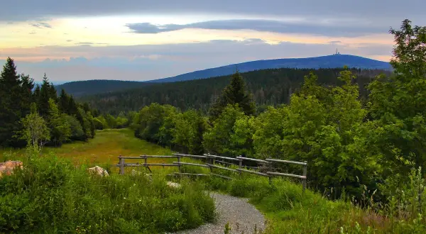 Ein Weg führt durch grüne Wiesen und Wälder, ideal zum Wandern in Norddeutschland. Im Hintergrund ein bewaldeter Berg mit einem Turm.