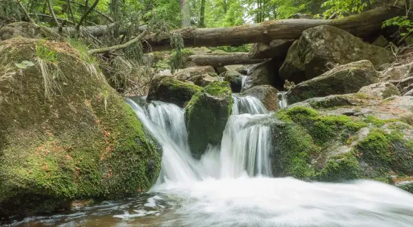 Ein kleiner Wasserfall im Harz, ideal für romantische Wandertouren. Moosbewachsene Felsen und ein umgestürzter Baum schaffen eine idyllische Szenerie.