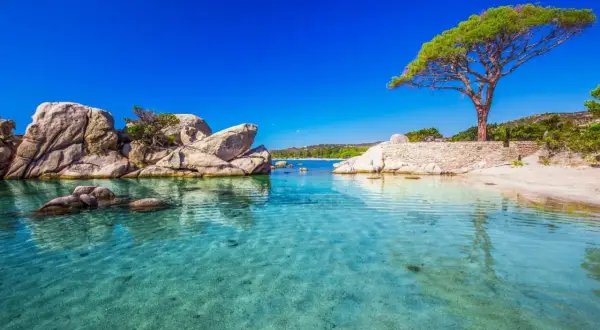 Traumhafte Bucht mit Felsen und einem Baum, wo ist es ende oktober noch warm. Kristallklares Wasser lädt zum Schwimmen ein.