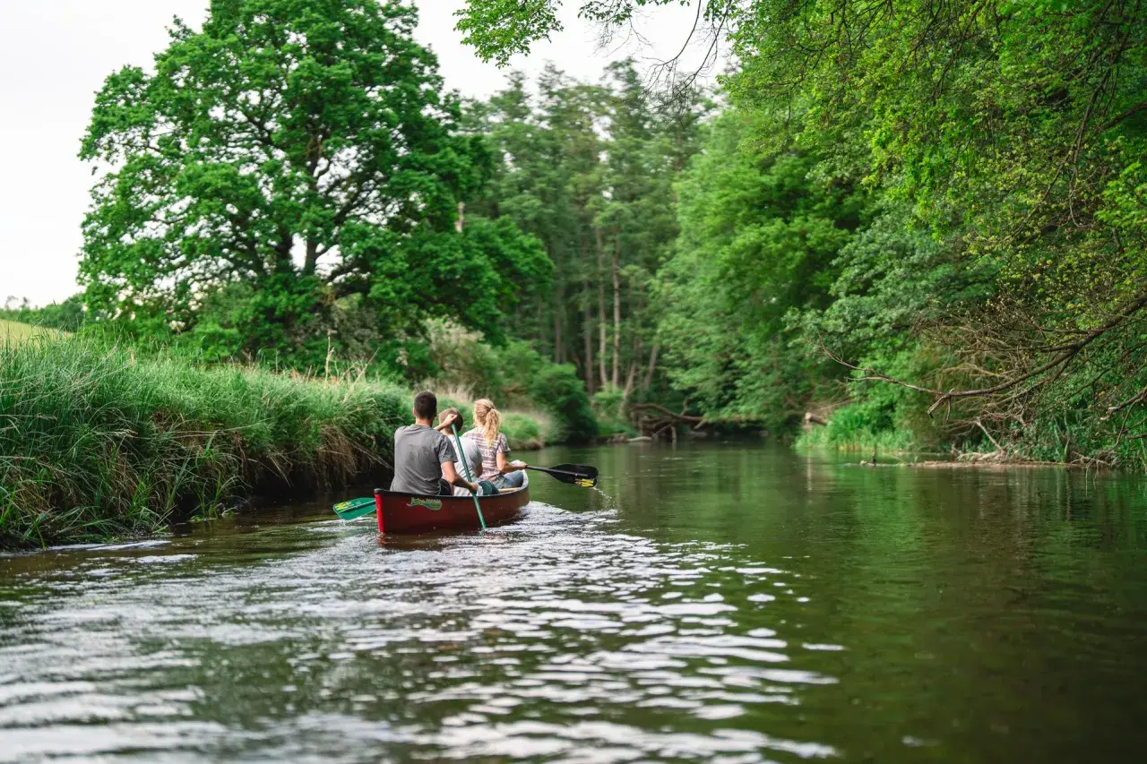 Zwei Personen paddeln in einem Kanu durch einen Fluss, umgeben von üppiger grüner Natur. Ein friedlicher Moment im **Warnow Durchbruchstal**.