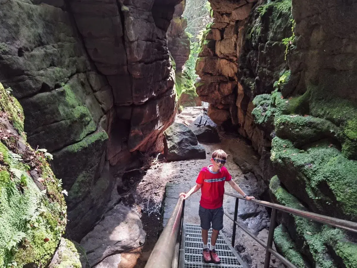 Junge steht auf Treppe im **Uttewalder Grund**, umgeben von moosbewachsenen Felsen.