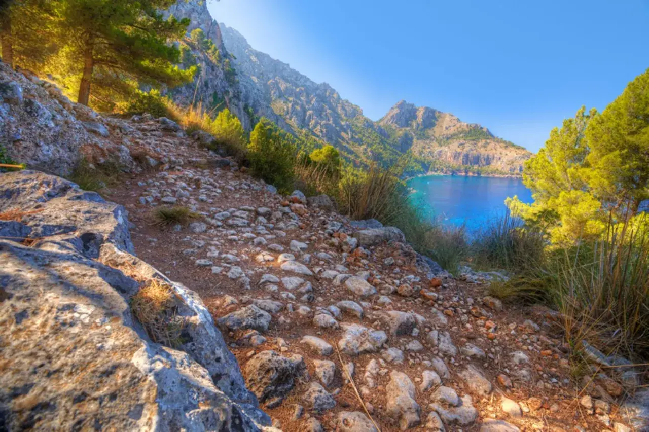 Pfad im Gebirge Mallorcas führt zu einer Bucht mit türkisfarbenem Wasser, umgeben von grünen Pinien und Felsen.