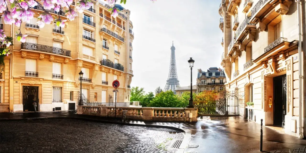 Blühende Magnolien über einer Kopfsteinpflasterstraße in Paris im Mai. Der Eiffelturm ragt im Hintergrund auf, umgeben von Haussmann-Gebäuden.