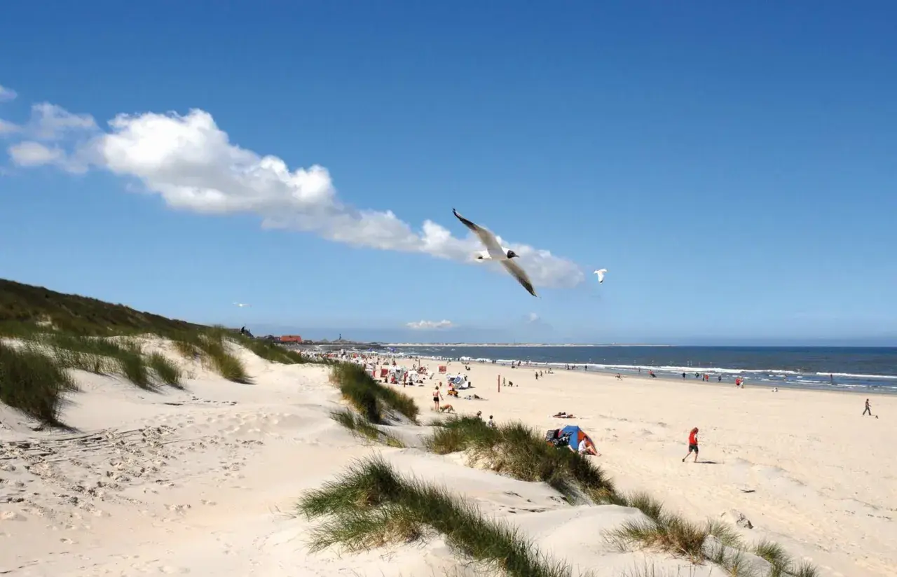 Möwen kreisen über dem Sandstrand einer Nordseeinsel. Menschen genießen die Sonne, während das Meer im Hintergrund glitzert.