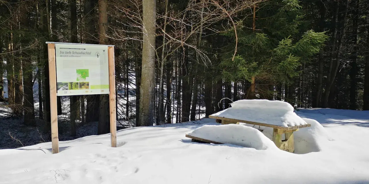Winterliche Wanderung im Bayerischen Wald: Ein Geheimtipp im tiefen Schussbachtal. Ein Info-Schild und ein verschneiter Tisch laden zur Erkundung ein.