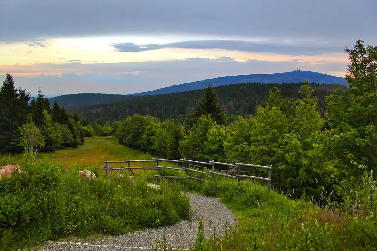 Ein Weg führt durch grüne Wiesen und Wälder, ideal zum Wandern in Norddeutschland. Im Hintergrund ein bewaldeter Berg mit einem Turm.