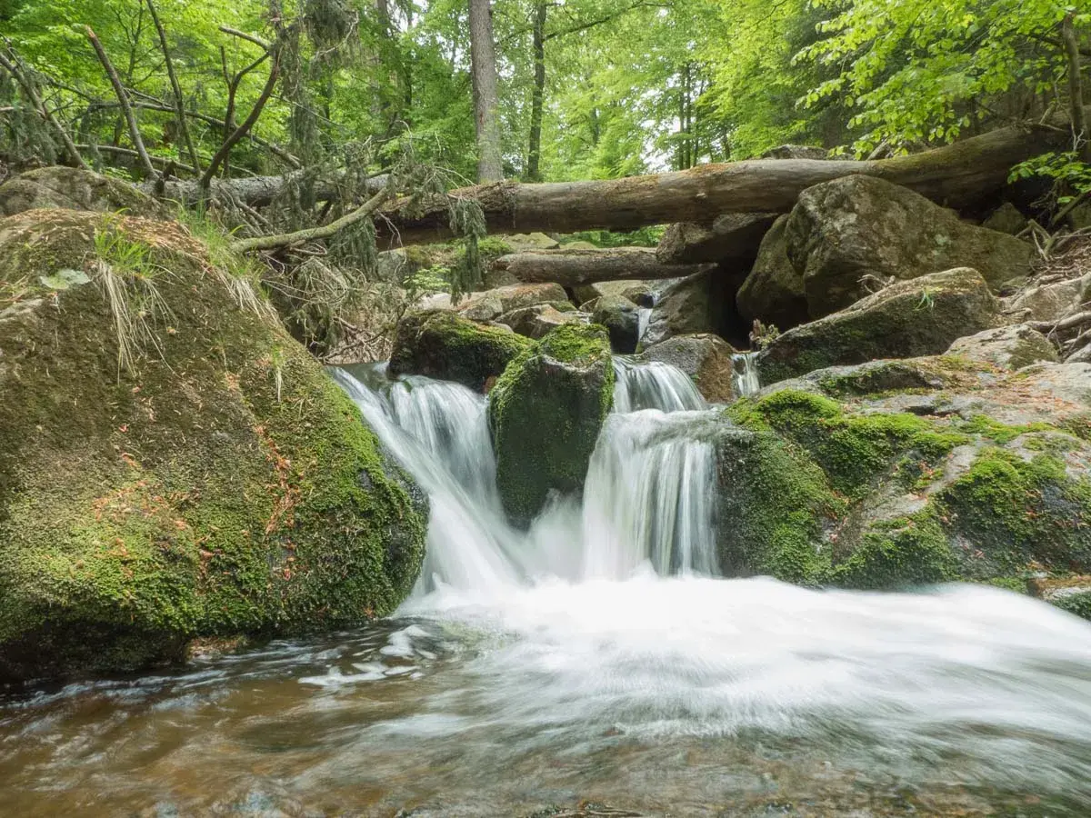 Ein kleiner Wasserfall im Harz, ideal für romantische Wandertouren. Moosbewachsene Felsen und ein umgestürzter Baum schaffen eine idyllische Szenerie.
