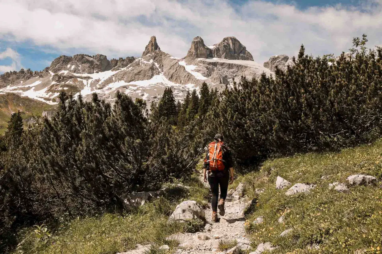 Eine Person mit orangefarbenem Rucksack wandert auf einem steinigen Pfad durch Latschenkiefern im Montafon. Im Hintergrund ragen schneebedeckte Berge auf.