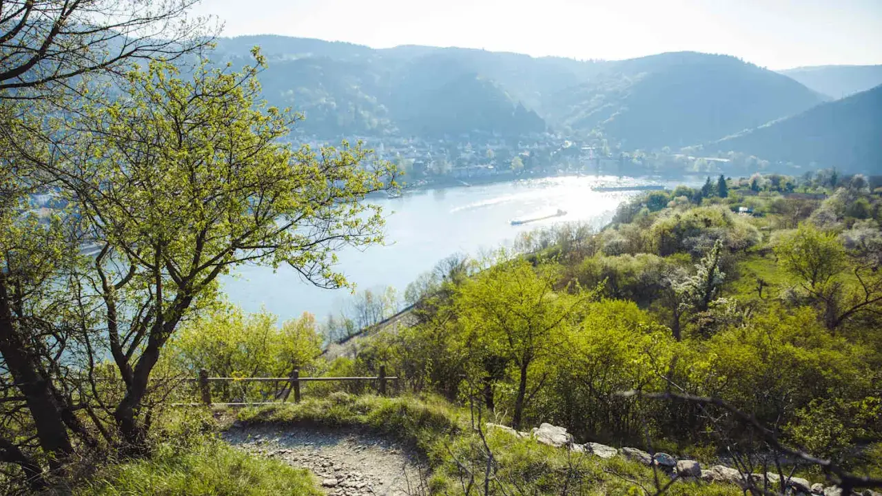 Ein malerischer Weg führt durch grüne Hügel mit blühenden Bäumen, ideal für Wandergebiete Deutschland. Ein Fluss und eine Stadt sind im Hintergrund zu sehen.