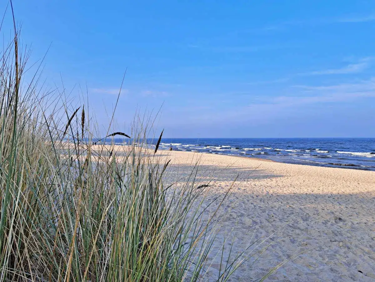 Strandgras rahmt den Blick auf einen weiten Sandstrand und das Meer. Ein echter Geheimtipp Bansin f&uuml;r Ruhe und Erholung.