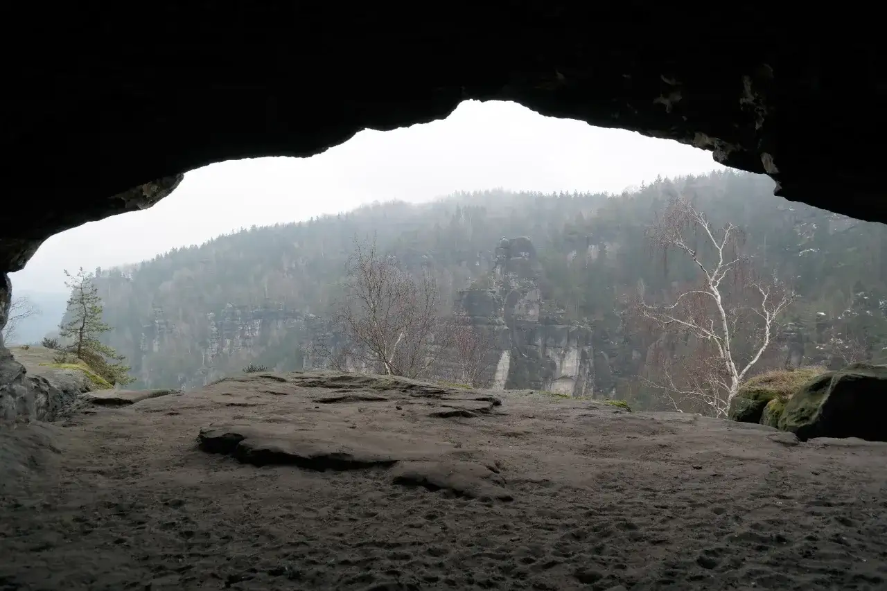 Blick aus einer H&ouml;hle auf die Affensteine. Ein Hund genie&szlig;t die Aussicht auf die Felsen und den nebligen Wald.
