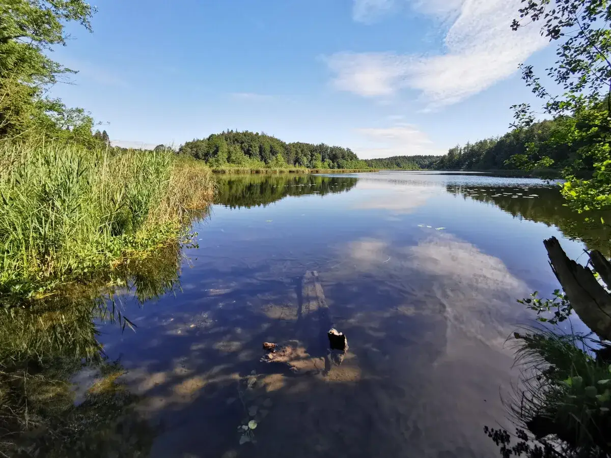 Idyllischer See im Erzgebirge, Tschechien. Gr&uuml;ne Ufer, bewaldete H&uuml;gel und ein blauer Himmel spiegeln sich im ruhigen Wasser.