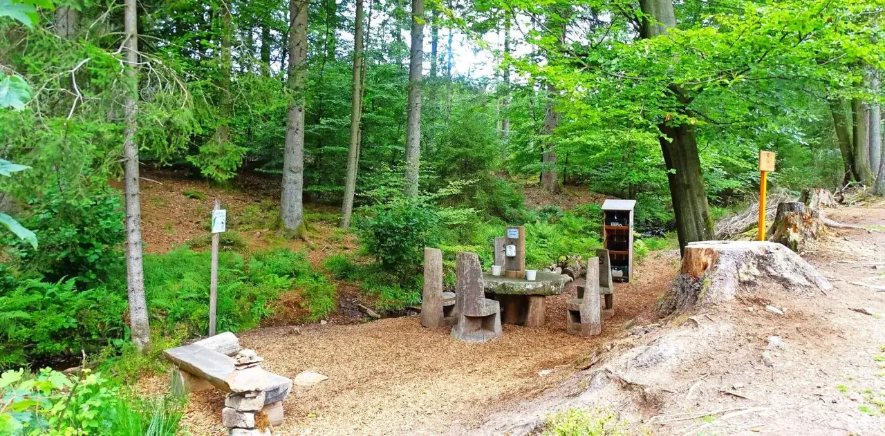 Ein rustischer Rastplatz am Felsenweg Losheim mit Steintisch und -b&auml;nken, umgeben von &uuml;ppigem Gr&uuml;n und hohen B&auml;umen.
