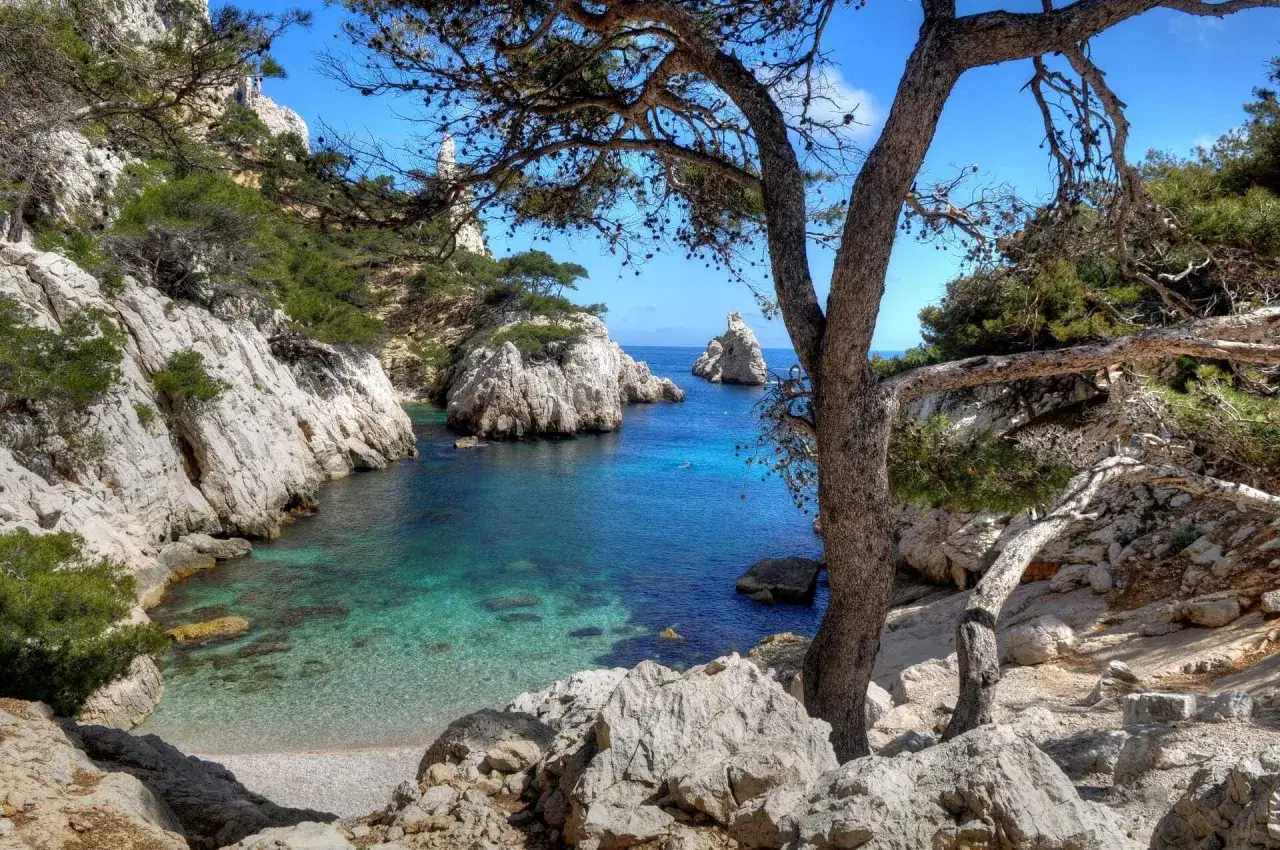 Traumhafte Calanques mit kristallklarem Wasser laden zum Baden ein. Felsen und Pinien säumen die Bucht.