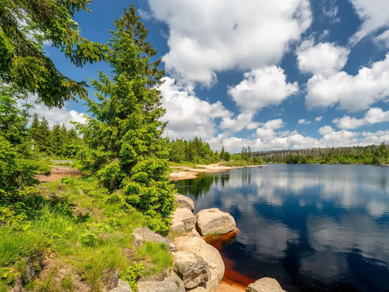 Idyllischer See im Harz, umgeben von Nadelb&auml;ldern. Perfekt f&uuml;r eine erholsame Harz Wanderung.