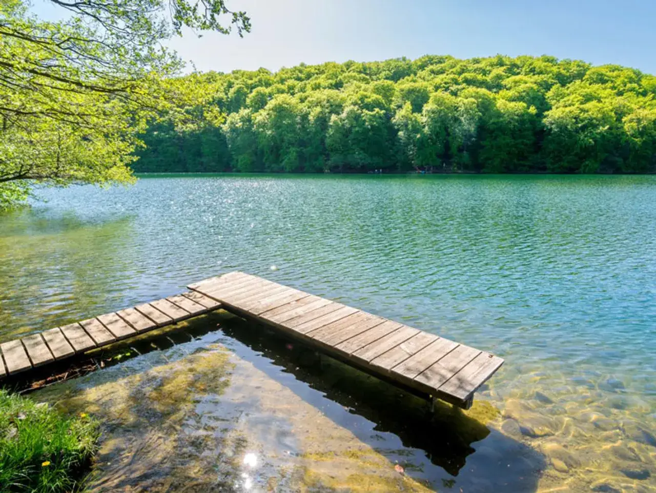 Holzsteg an einem ruhigen See, umgeben von üppigem Grün. Ein echter Geheimtipp Mecklenburgische Seenplatte für Naturliebhaber.