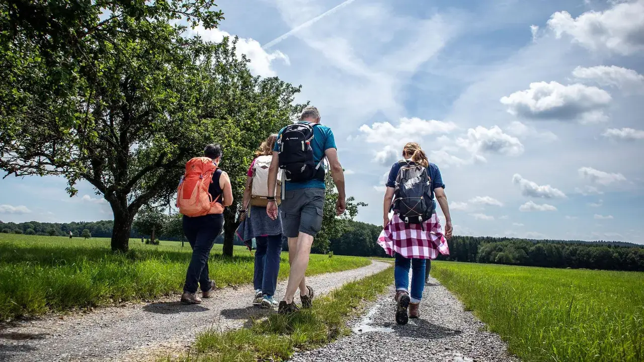 Vier Wanderer mit Rucks&auml;cken genie&szlig;en die Natur auf einem Feldweg. Perfekte ausflugsziele hessen f&uuml;r einen aktiven Tag.