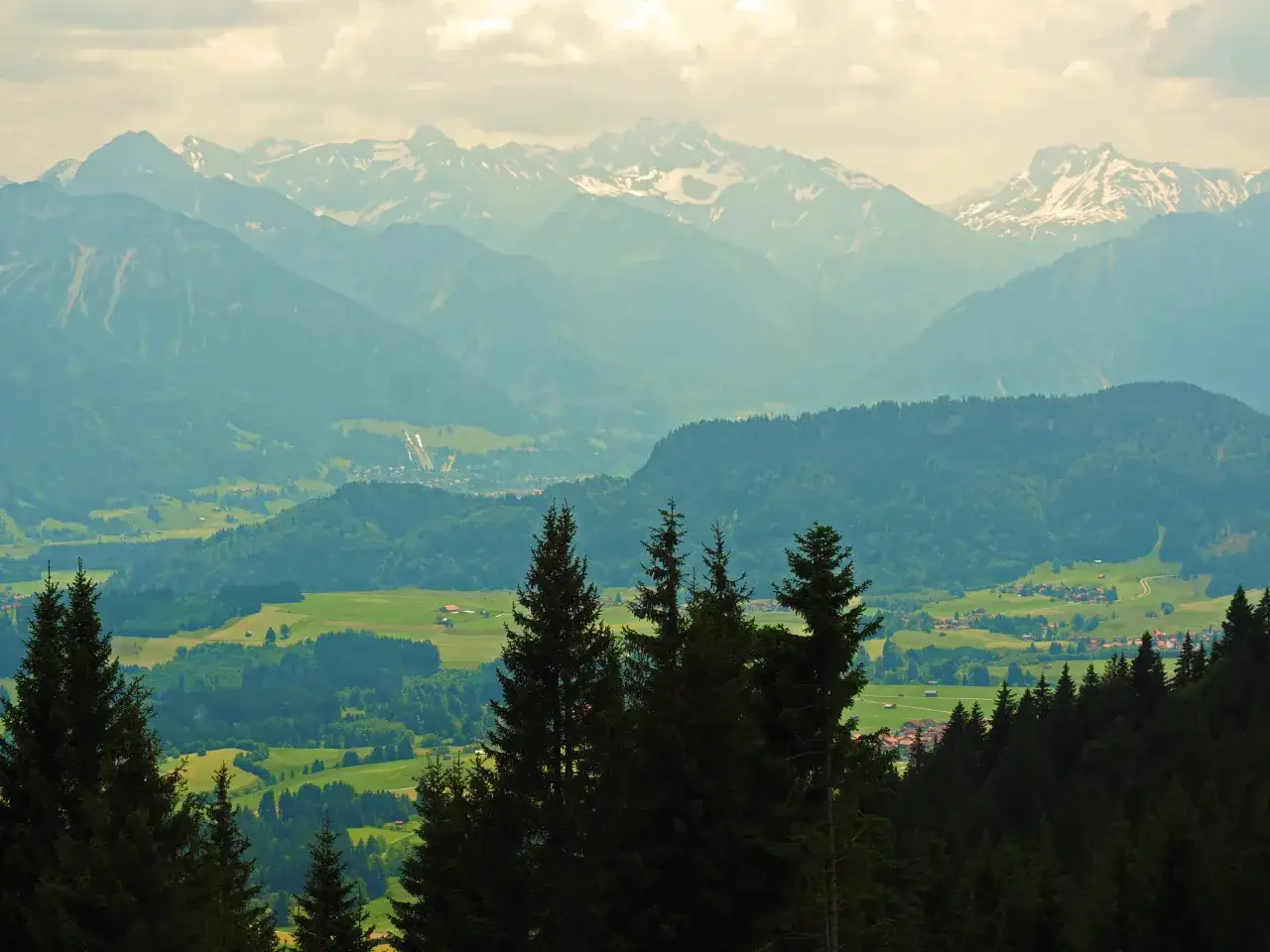 Blick &uuml;ber gr&uuml;ne T&auml;ler und W&auml;lder auf schneebedeckte Berge. Ein versteckter Ort, der zu Oberstdorf Geheimtipps passt.