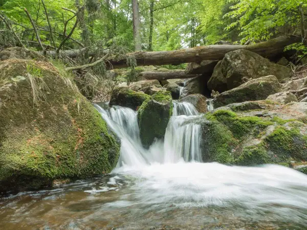 Ein kleiner Wasserfall im Harz, ideal für romantische Wandertouren. Moosbewachsene Felsen und ein umgestürzter Baum schaffen eine idyllische Szenerie.